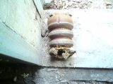 DSC01832.JPG