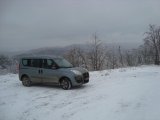 DSC04440.JPG