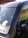 IMG_20160430_095345.jpg
