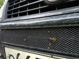 IMG_20160616_0756101.jpg