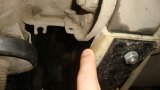 DSC03683 1000.jpg