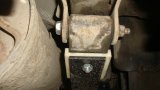 DSC03684 1000.jpg