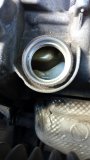 IMG_20170612_094345.jpg