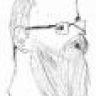 gleborisov